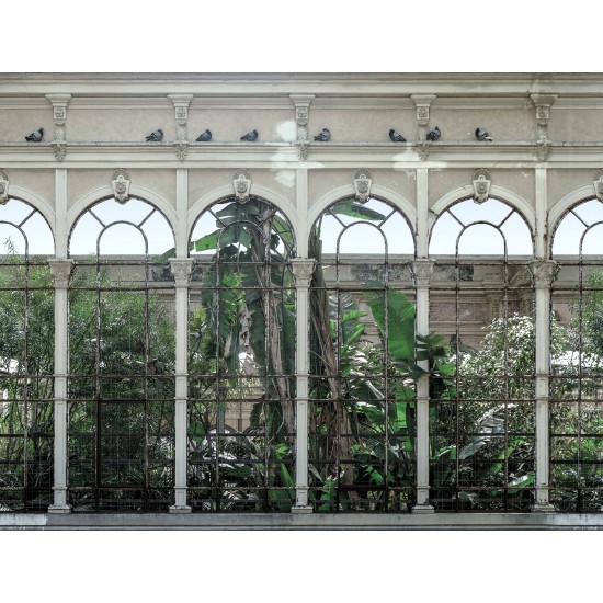 Dove Gardens
