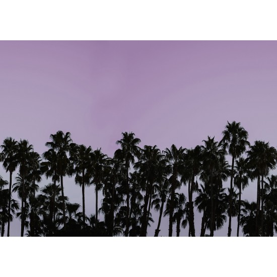 Riviera Daydream, Dusk 