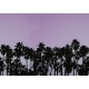 Riviera Daydream, Dusk 