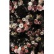 Briar Roses
