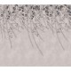 Lush Foliage, Rose Dust