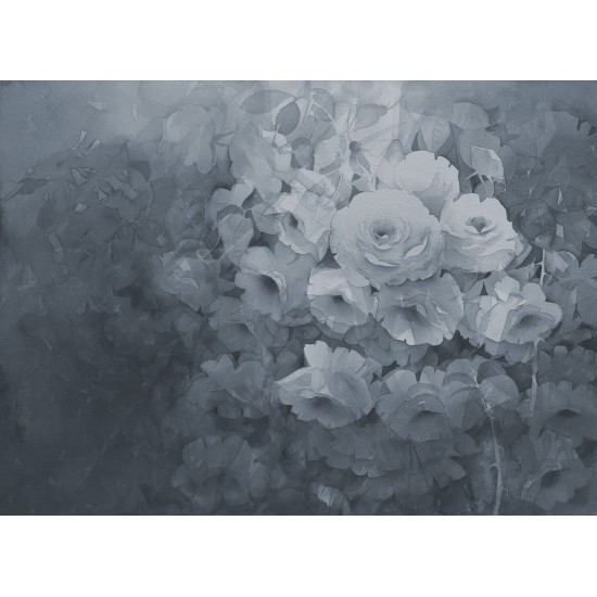 Harmony
