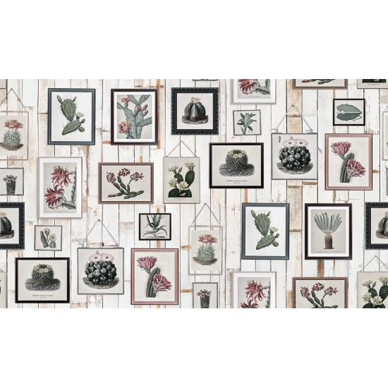 Cactus Wall Art, Faded