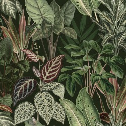 Leaf