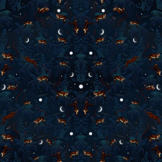 Space Monkey
