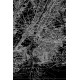 Map Of NY