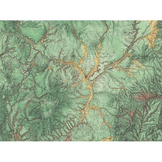 Woodland