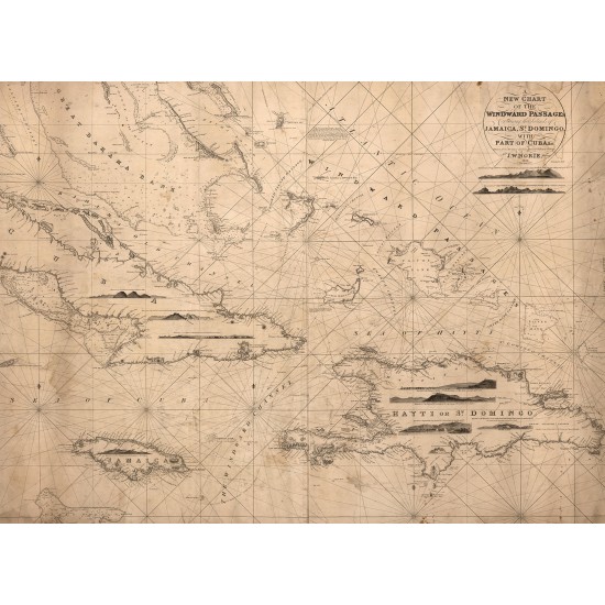 Navigation Lines