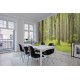Deciduous Forest Deciduous Forest
