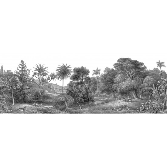 Jungle Land