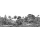 Jungle Land