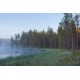 Forest Lake