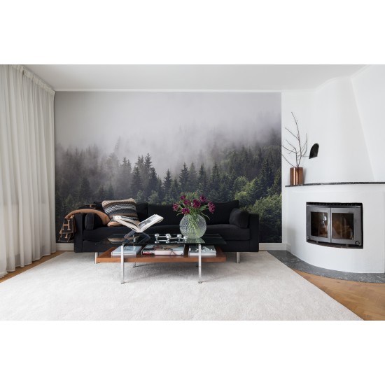 Misty Fir Forest Misty Fir Forest
