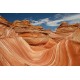 Arizona 