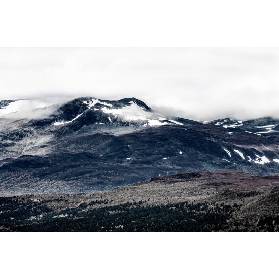 The North