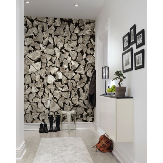Woodpile Woodpile