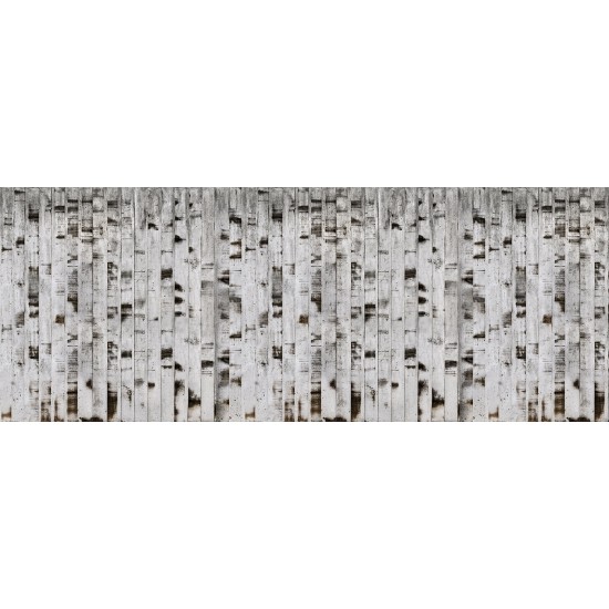 Metal Birch